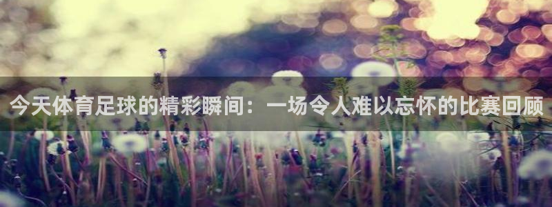 ng28南宫加拿大下载